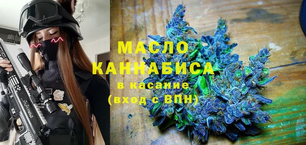 шишки Медногорск