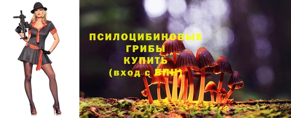 дмт Магадан