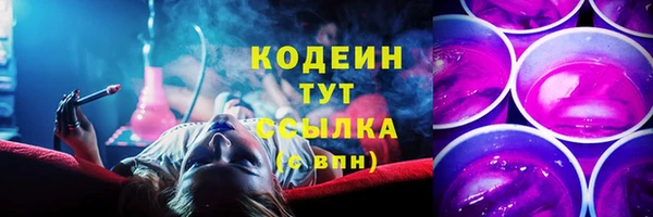 шишки Медногорск