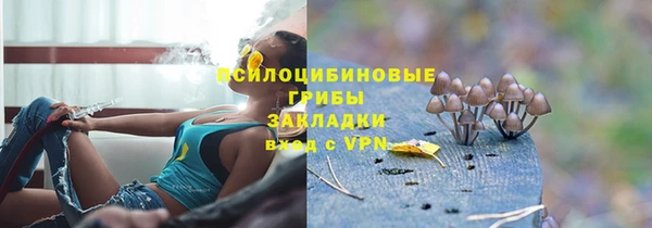 сатива Медвежьегорск
