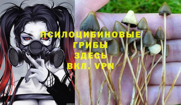 прущие крисы Мегион
