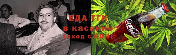 шишки Медногорск