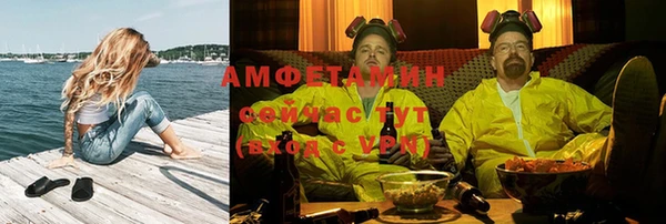 шишки Медногорск