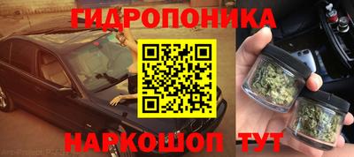 мяу мяу мука Новокубанск
