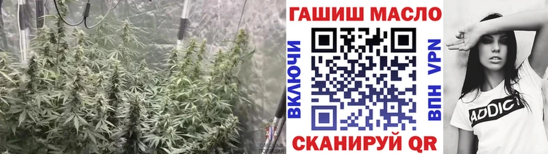 MEGA   купить  сайты  Малгобек  Дистиллят ТГК вейп с тгк 