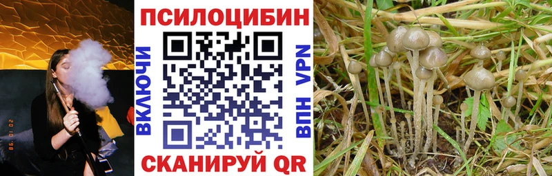 Галлюциногенные грибы GOLDEN TEACHER  блэк спрут онион  Малгобек 