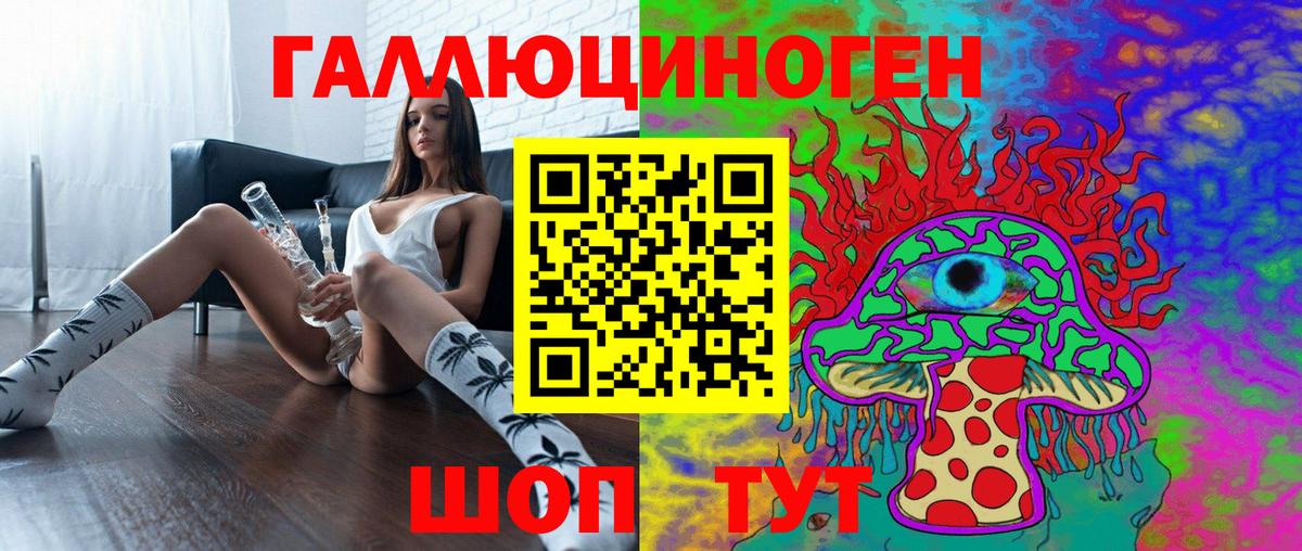 магазин    Вход с VPN  Псилоцибиновые грибы Psilocybine cubensis  Малгобек  Псилоцибиновые грибы GOLDEN TEACHER 