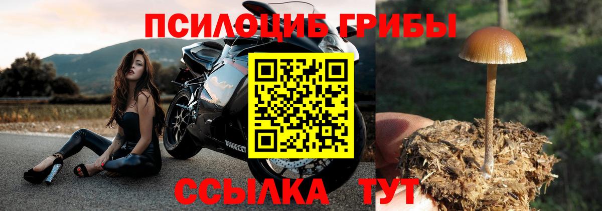 Галлюциногенные грибы MAGIC MUSHROOMS  Малгобек 