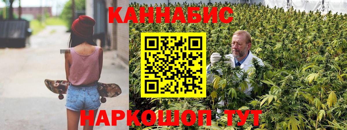 Бошки марихуана сатива  Марихуана White Widow  Конопля Bruce Banner  Марихуана планчик  Вход с VPN  Малгобек 