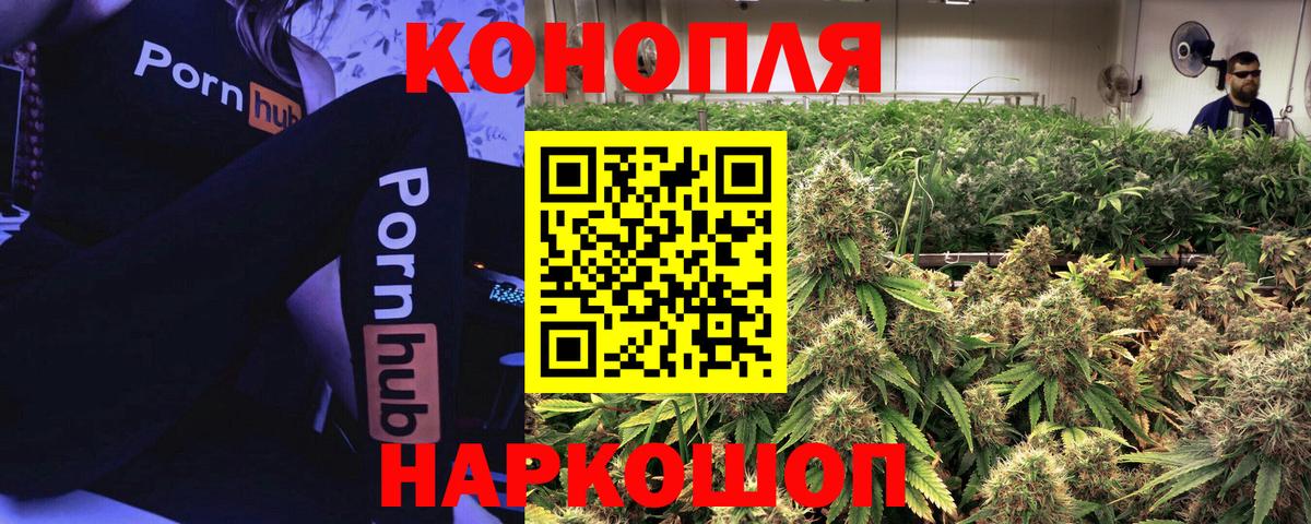 Каннабис SATIVA & INDICA Малгобек